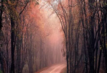 汉堡实力不俗，继续稳步前进争取更好成绩