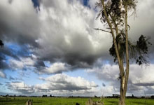 土耳其不敌克罗地亚，欧洲杯预选赛领先之争激烈