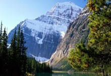 R.I.P，弗鲁米嫩塞体能教练阿兰特斯因癌症去世，年仅38岁，阿兰-福斯特