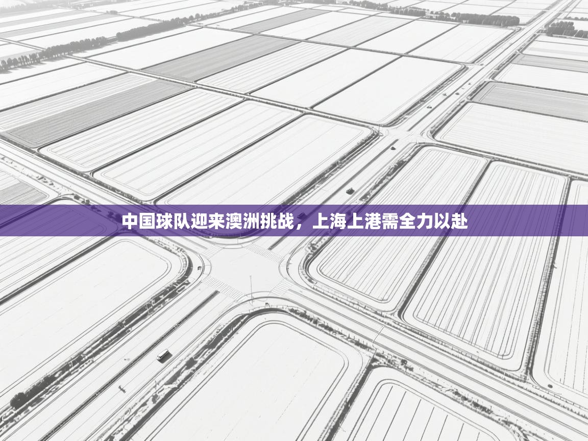 中国球队迎来澳洲挑战,上海上港需全力以赴 第2张