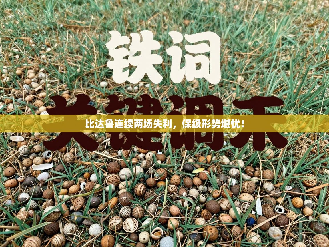 比达鲁连续两场失利，保级形势堪忧！  第2张