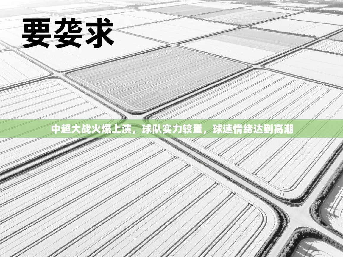 中超大战火爆上演,球队实力较量,球迷情绪达到高潮 第2张